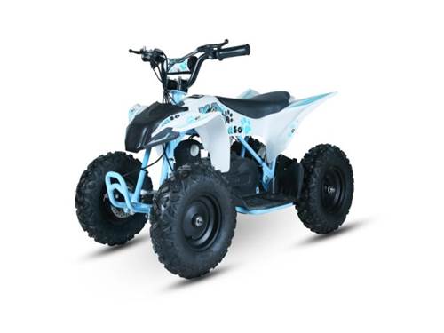 Kayomoto eA50