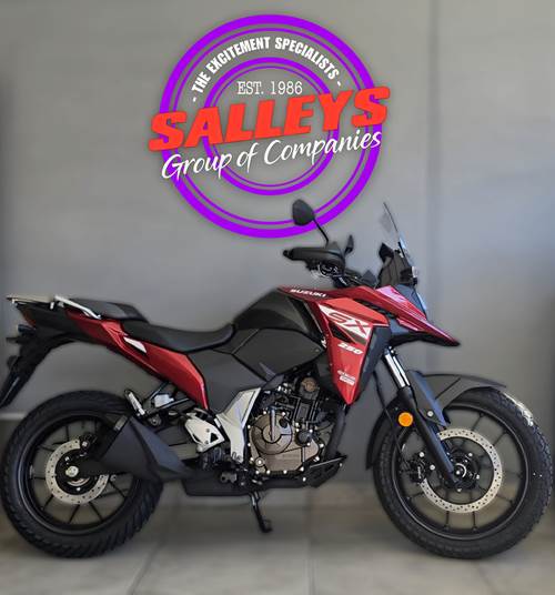 Suzuki DS 250